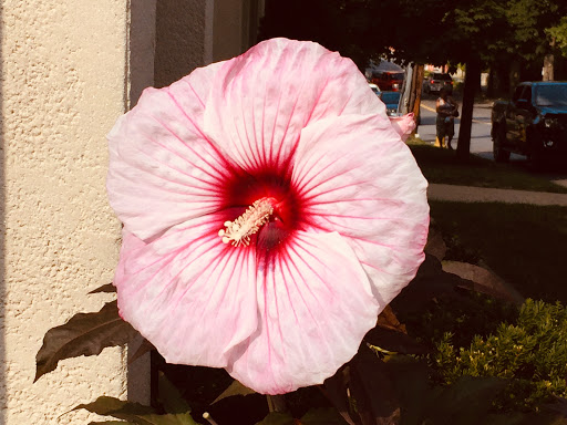 Park «Kittrel Park», reviews and photos, 120 Fisher Ave, White Plains, NY 10606, USA