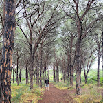 Photo n°1 de l'avis de Trisha.a fait le 21/05/2023 à 16:05 sur le  Hotel Baia Dei Mori à Baia Sant'Anna