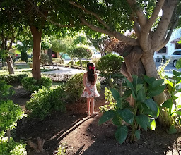Parque Los Arcos photo