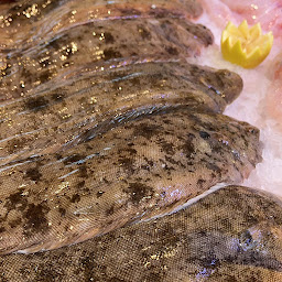 Photo n°6 de Pierrot Coquillages Kiosque, Restaurant, Livraison de fruits de mer & Poissons à Marseille ()