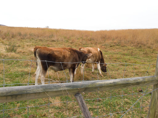 Non-Profit Organization «Blue Ridge Center For Environmental Stewardship», reviews and photos, 11661 Harpers Ferry Rd, Purcellville, VA 20132, USA