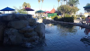 Coronado Ferry Center - photo 16