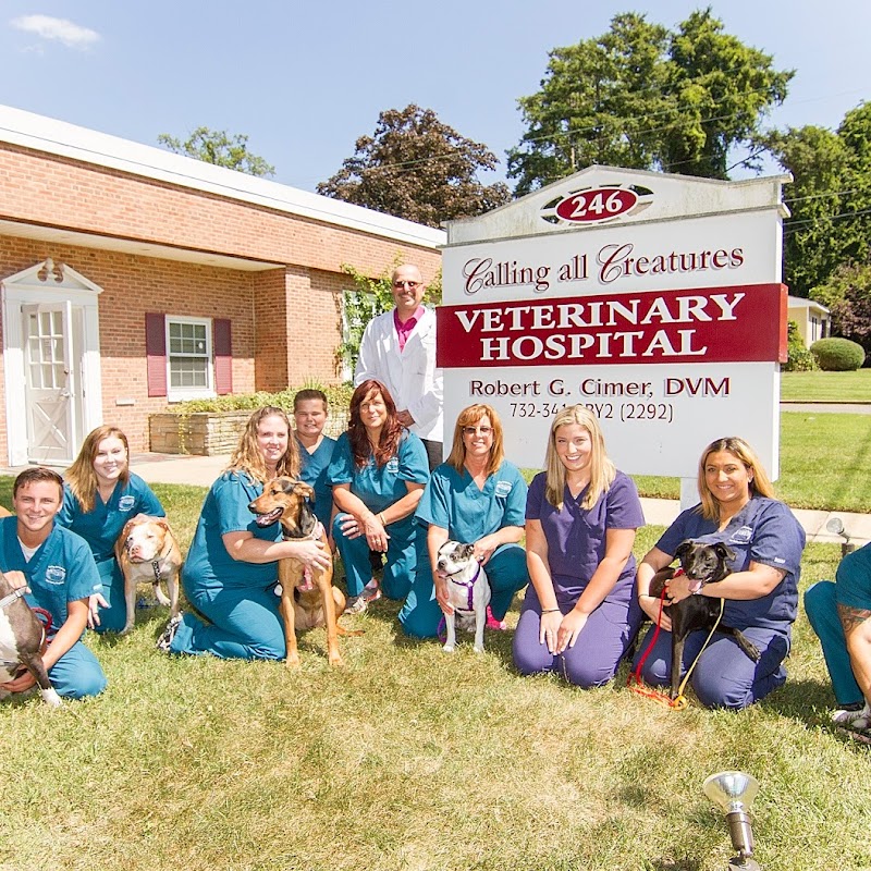 Calling All Creatures Veterinary Hospital