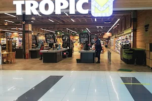 Tropic market image