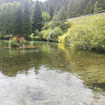 Photo n°1 de l'avis de Deborah.l fait le 22/08/2019 à 07:00 sur le  Ristorante Rio Argento à Malborghetto Valbruna