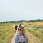 Photo n°2 de l'avis de Adonela.o fait le 20/06/2021 à 11:40 sur le  Centro Ippico Pegaso à Collesalvetti