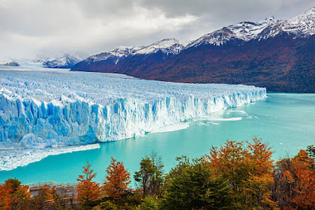 Patagonia Experience 