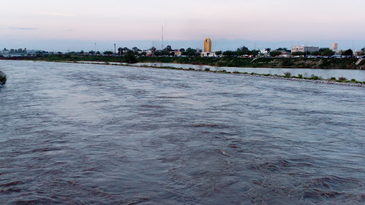 Mayorista de carne Torreón