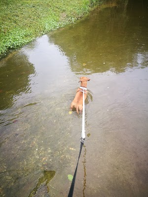 Pfluger Park - photo 32
