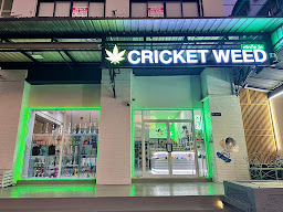 WEED SHOP | Canabis | ร้านกัญชา
