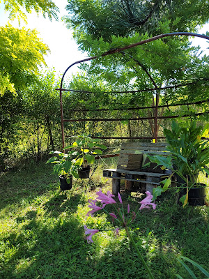 Le Jardin de Jan à Branceilles