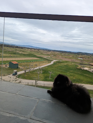 Les plus récentes hôtels Hotel Terraverda 17257 Gualta