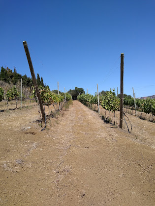 Extérieur hôtels La Higuera Mayor 35218 Balcon de Telde