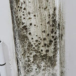 Photo n°2 de l'avis de Niina.e fait le 19/02/2023 à 15:42 sur le  Hotel Casablanca à Naples