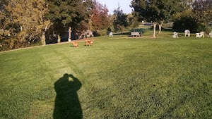 Wardlaw Park - photo 87