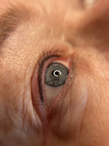 Explore side tattoo ideas for females, creative tattoo ideas in Peoria Heights, available at BeautiFULL Brows By Jen Microblading - Permanent Makeup Wild Honey Beauty Studio