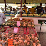 Photo n°19 de l'avis de Rose.. fait le 04/05/2018 à 13:28 sur le  Asparagus and Erlebnishof Klaistow à Beelitz
