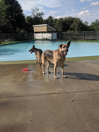 Lucky Paws Pet Resort