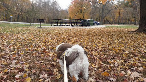 Public Golf Course «Calvert Road Park Disc Golf», reviews and photos, Campus Drive, College Park, MD 20740, USA