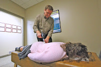 Bence Chiropractic Wellness Center - Photo 8 - Car repair in Macomb, MI, Warren