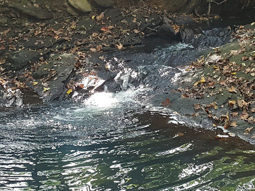 Nature Preserve «Autrey Mill Nature Preserve & Heritage Center», reviews and photos, 9770 Autrey Mill Rd, Johns Creek, GA 30022, USA