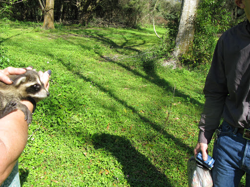 Animal Rescue Service «Nanny’s Educational Zoo And Rescue», reviews and photos, 1139 Livingston Rd, Lutz, FL 33559, USA