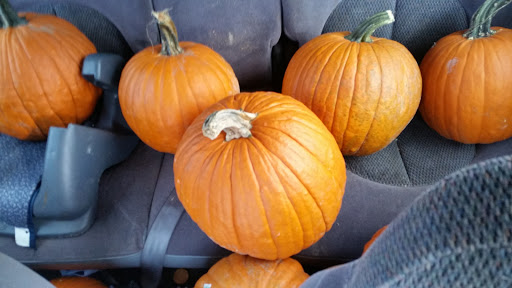 Jim & Charlie's Affiliated