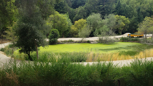 Amusement Park «Roaring Camp Railroads», reviews and photos, 5401 Graham Hill Road, Felton, CA 95018, USA