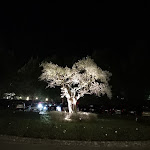 Photo n°2 de l'avis de Franco.o fait le 29/08/2020 à 22:17 sur le  Seebay Hotel à Portonovo