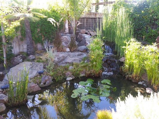 Napa Valley Ponds and Water Features