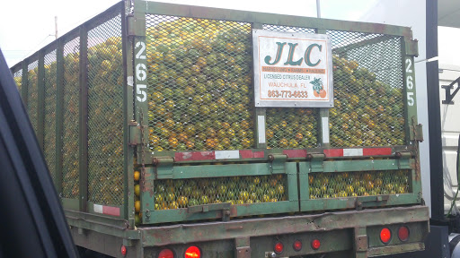 Supermarket «ALDI», reviews and photos, 2900 New Life Way, Sebring, FL 33870, USA