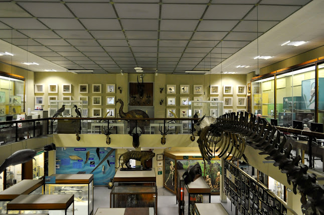 Reviews of University of Aberdeen Zoology Museum in Aberdeen - University
