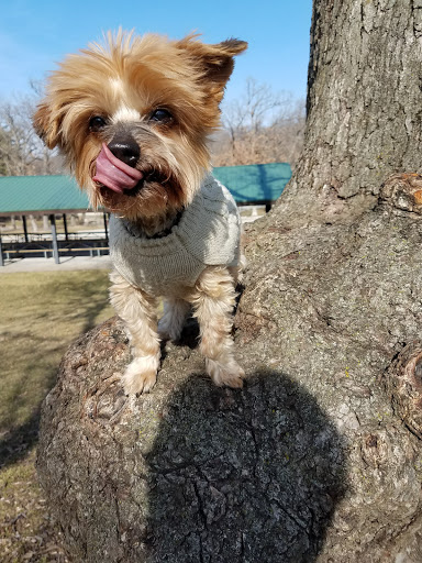 Park «Bever Park», reviews and photos, 2700 Bever Ave SE, Cedar Rapids, IA 52403, USA