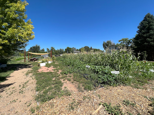 Non-Profit Organization «Ed & Ruth Lehman YMCA», reviews and photos, 950 Lashley St, Longmont, CO 80504, USA