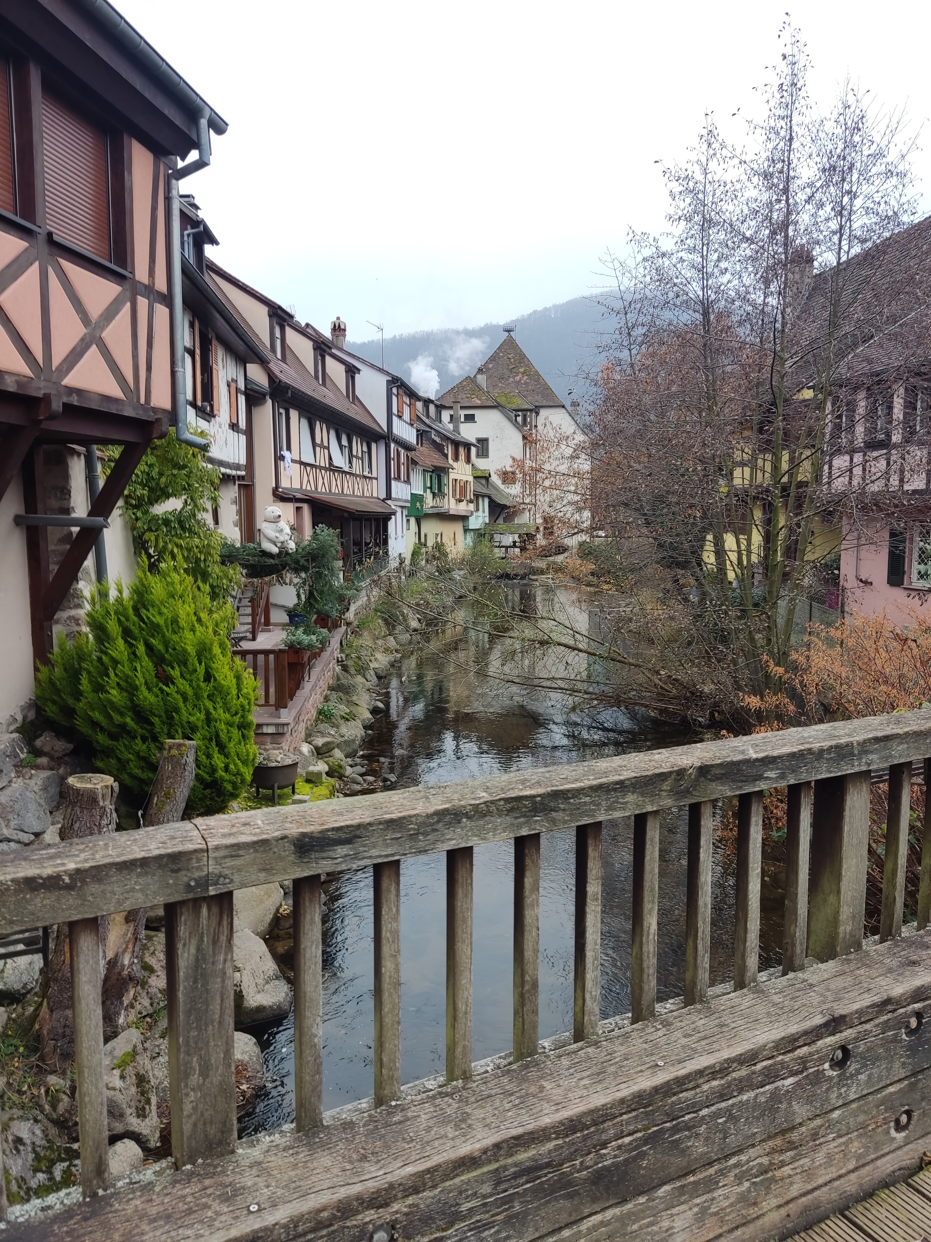 Photo n° 1 de l'avis de Iván.� fait le 19/01/2022 à 19:22