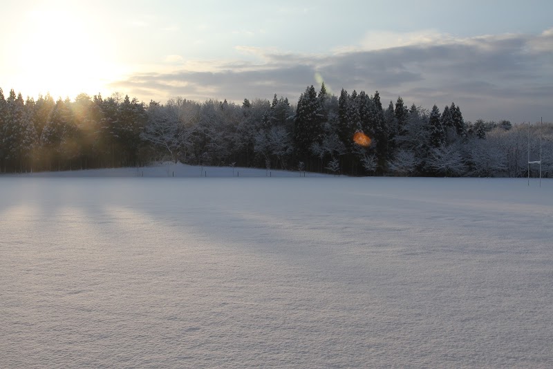 東北みやげ煎餅 株 青森県東北町篠内平 和菓子屋 飲食店 グルコミ