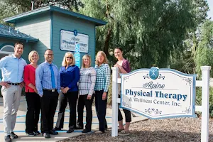 Alpine Physical Therapy Center & Wellness Center, Inc image