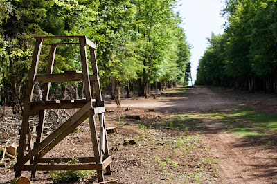 Domaine de la Grande Garenne à Courtivron