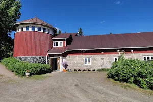 Ollinmäki Wine Farm image