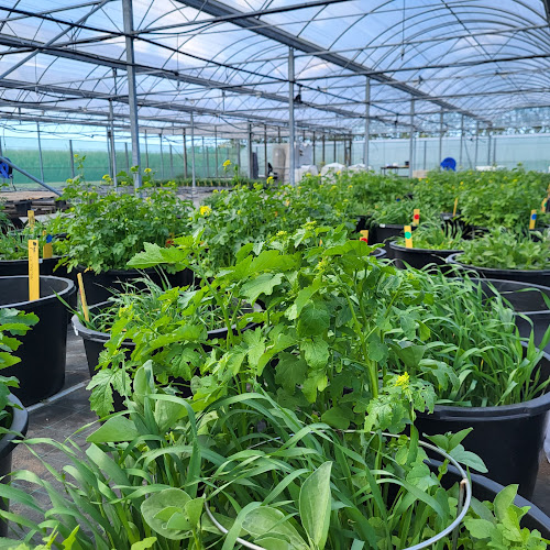 Aarhus University Flakkebjerg - Slagelse