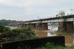 New Cochin Bridge, Cheruthuruthy image