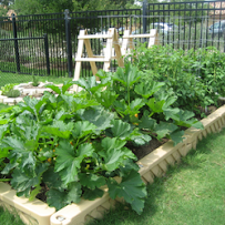 Primrose School of Four Points - Photo 5 - Car repair in Austin, TX, Austin