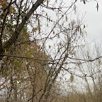 Photo n°9 de l'avis de Sara.u fait le 02/01/2022 à 15:14 sur le  Villa Rizzo Resort Spa à San Cipriano Picentino