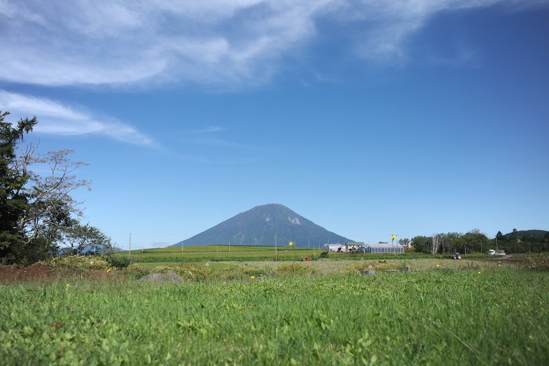 紅丸芋発祥の碑