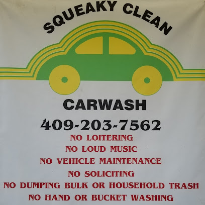 Squeaky Clean Car Wash #4
