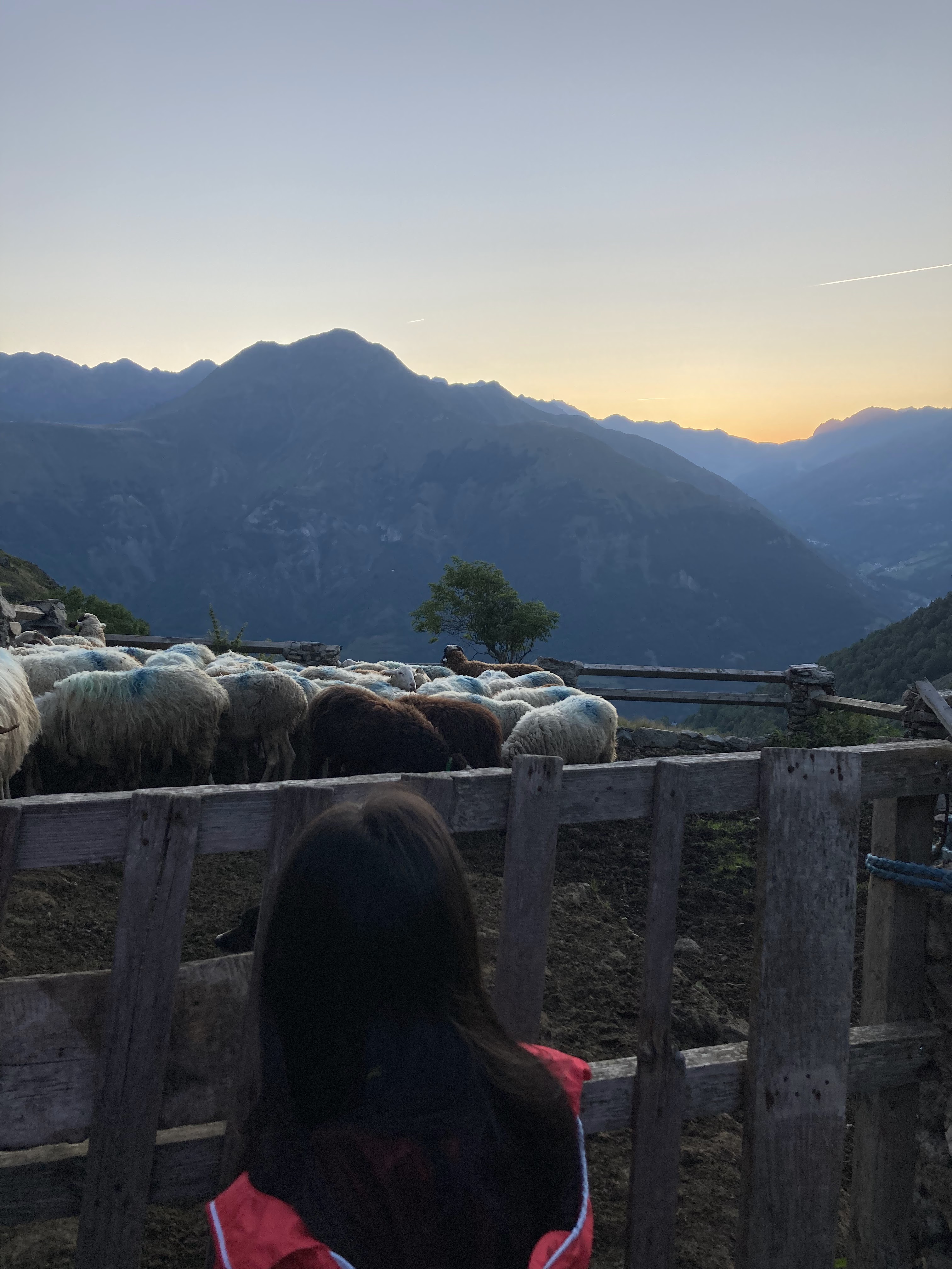 Photo n° 6 de l'avis de Huu.h fait le 25/08/2021 à 06:50