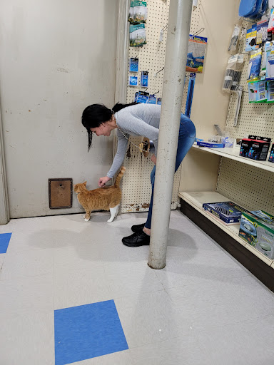 Pet Store «Southside Pet Shop», reviews and photos, 7031 Southside Dr, Louisville, KY 40214, USA