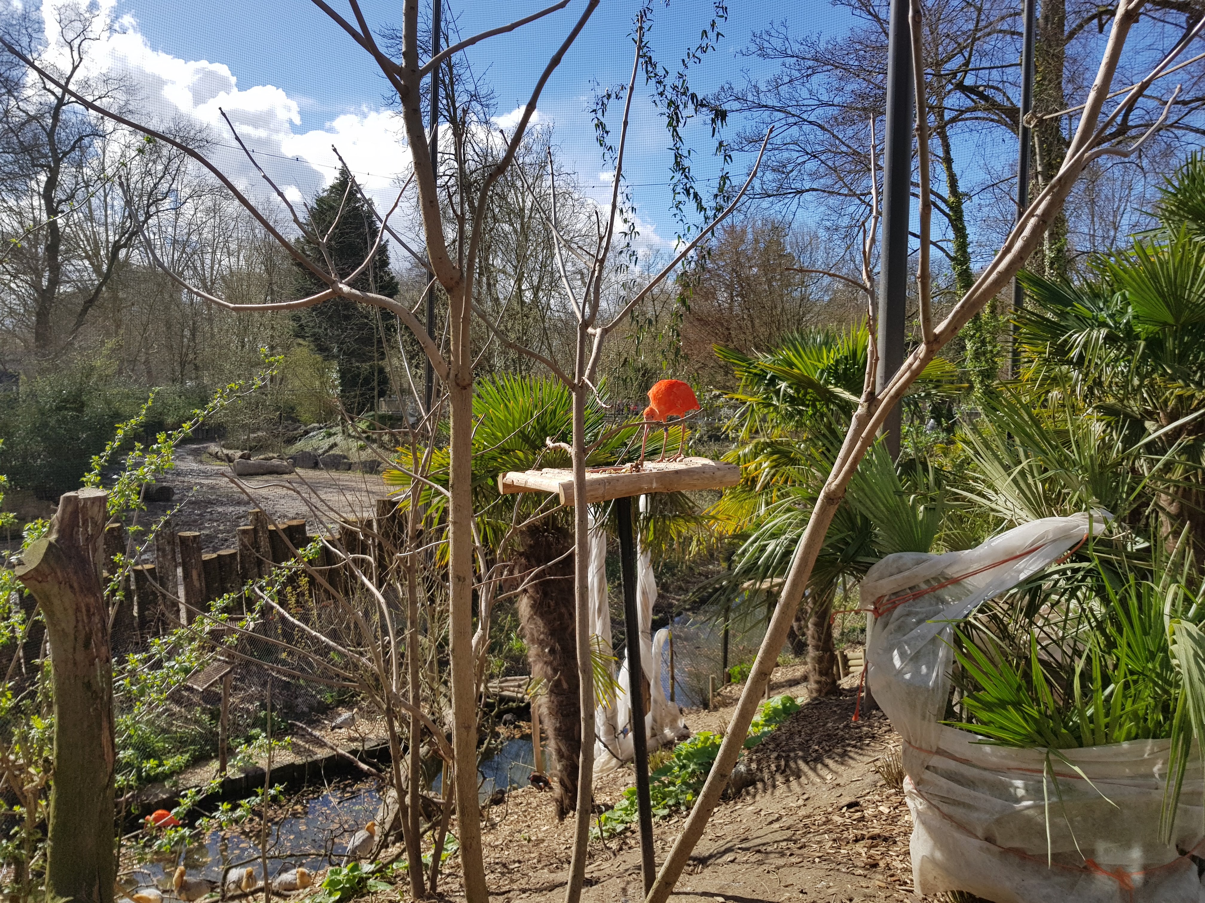 Photo n° 5 de l'avis de Charbel.l fait le 17/03/2019 à 23:45