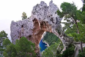 Natural Arch image