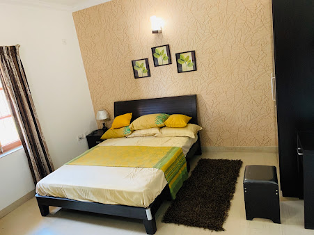 Google Maps image 19